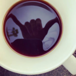 Meet your Posher, Jace